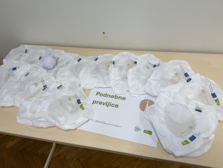 Podnebne pravljice_Borovnica_7